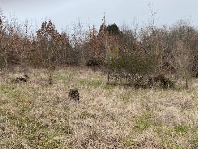 Vente Terrain à Villeneuve-sur-Lot 0 pièce