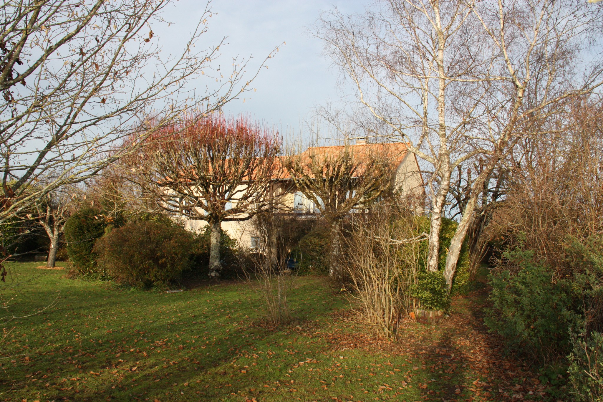 Vente Maison à Ribérac 7 pièces