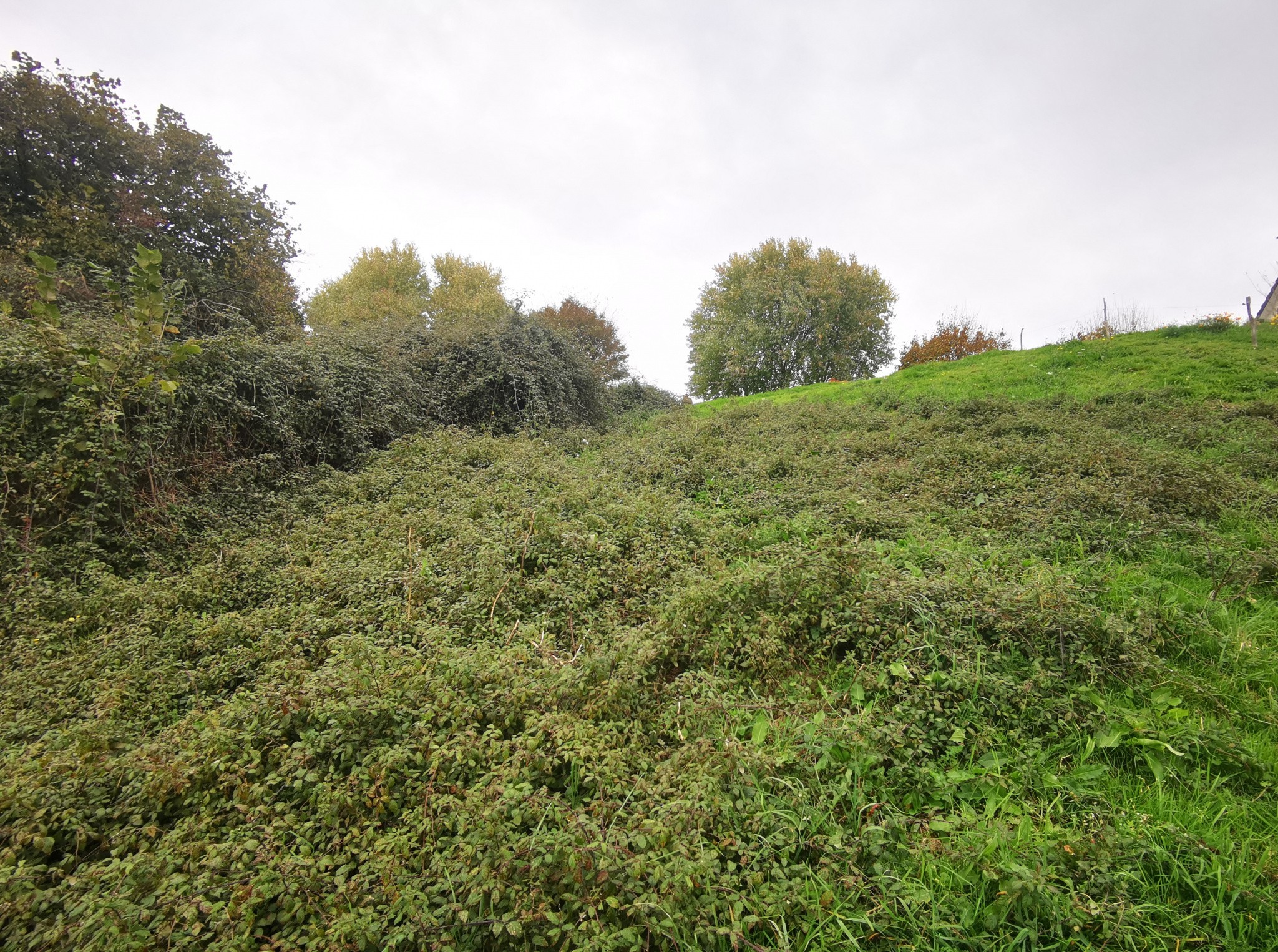 Vente Terrain à Dampniat 0 pièce