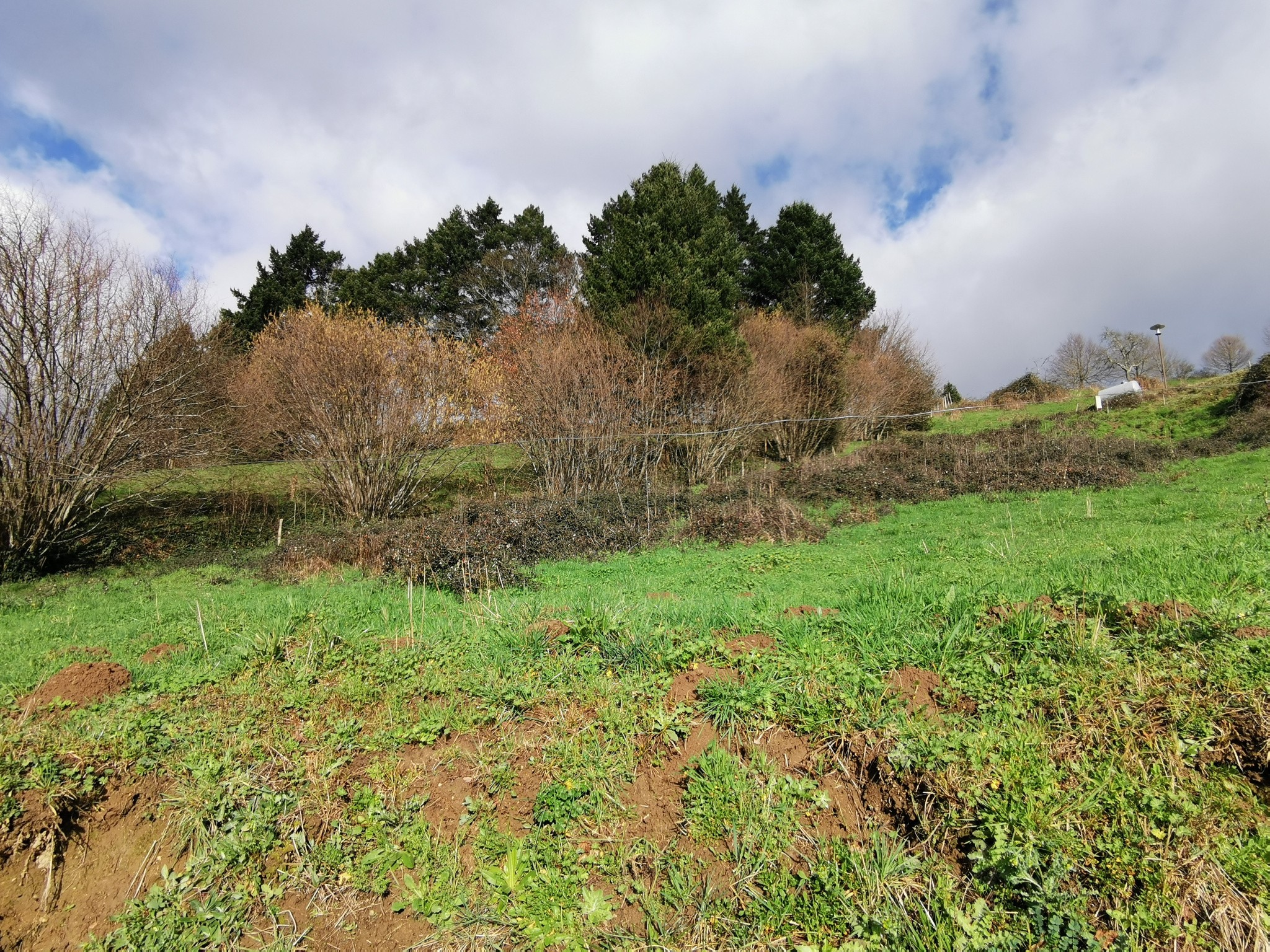 Vente Terrain à Dampniat 0 pièce