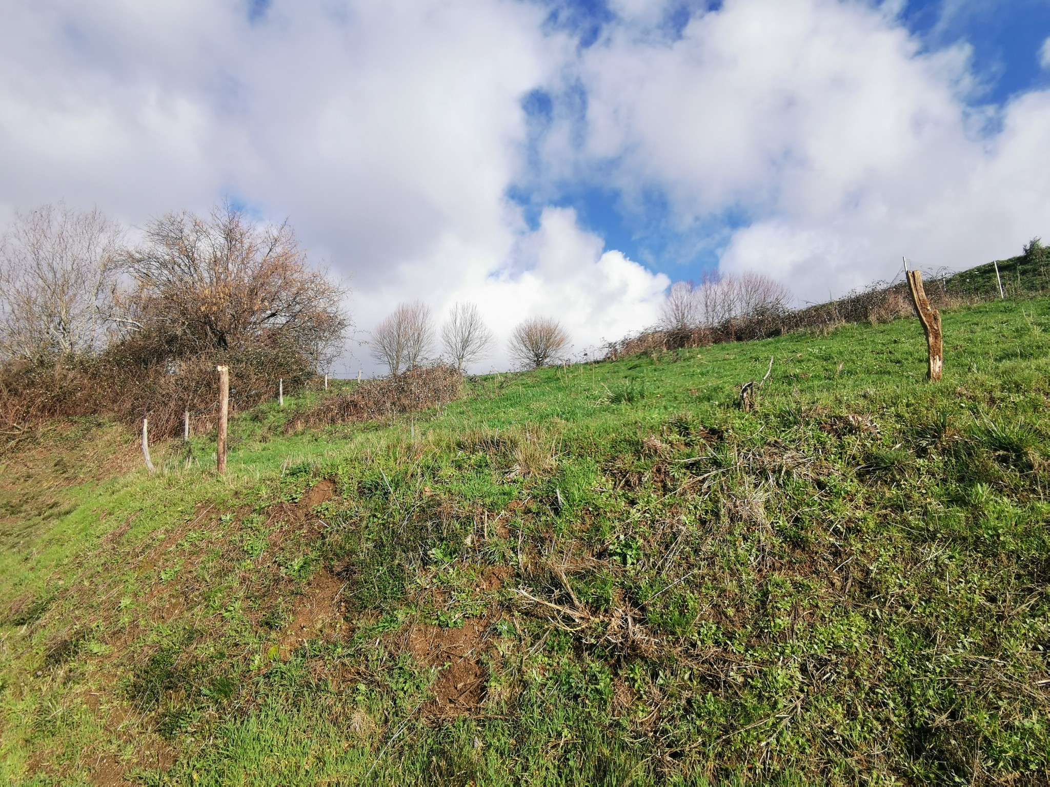 Vente Terrain à Dampniat 0 pièce