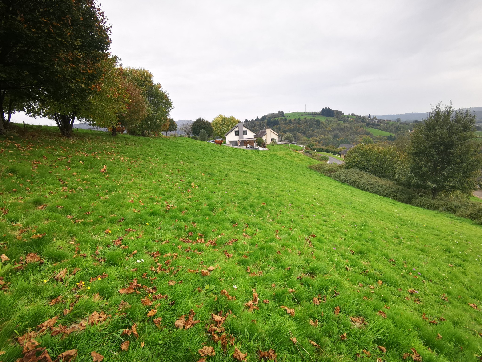 Vente Terrain à Dampniat 0 pièce