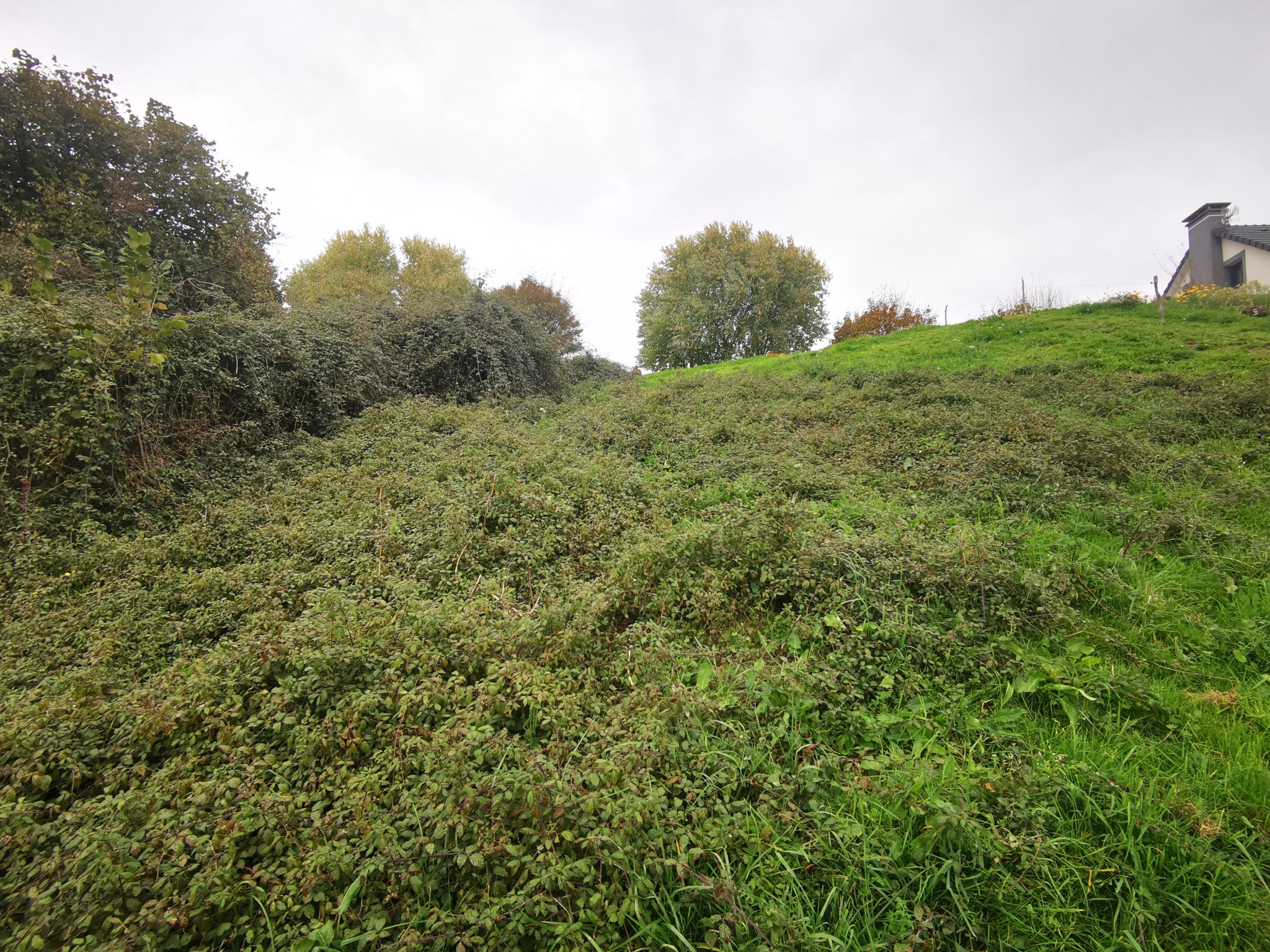 Vente Terrain à Dampniat 0 pièce