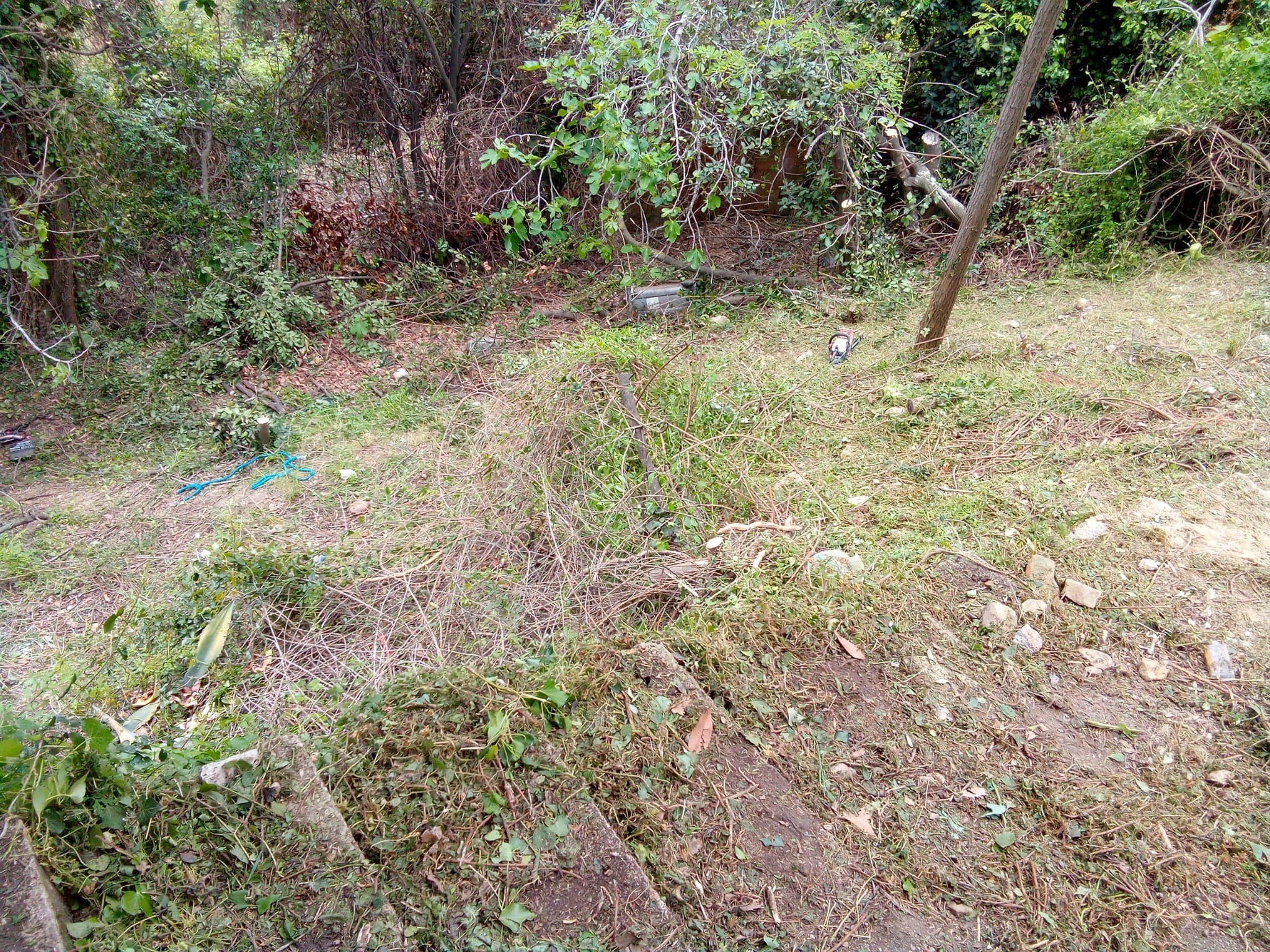 Vente Terrain à Menton 0 pièce