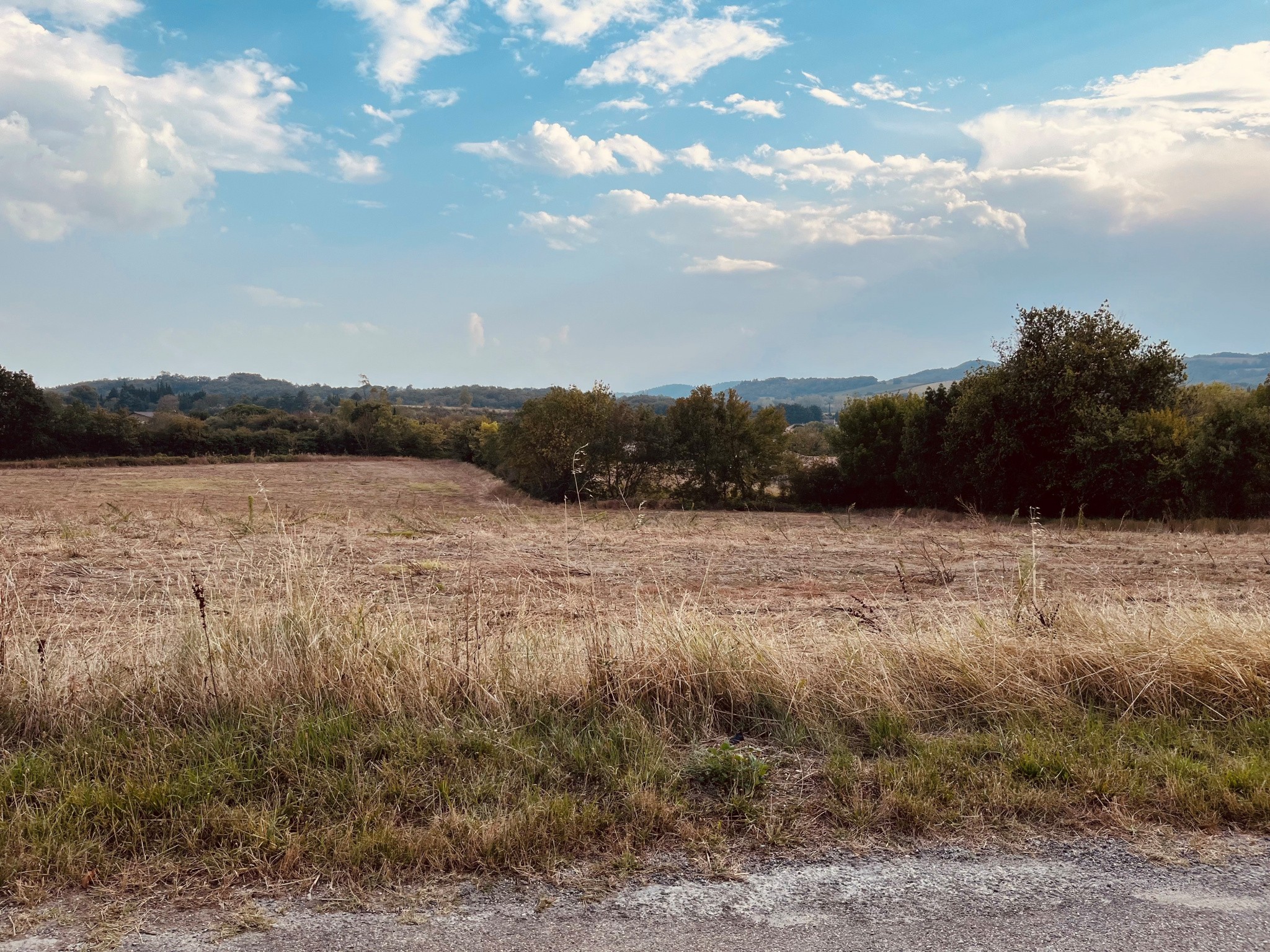 Vente Terrain à Limoux 0 pièce