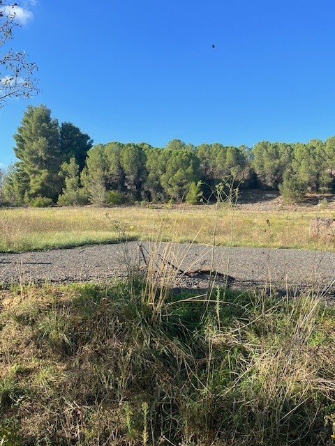 Vente Terrain à Limoux 0 pièce