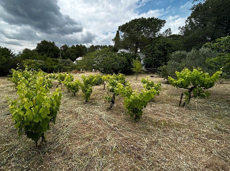 Vente Terrain à Gréasque 0 pièce