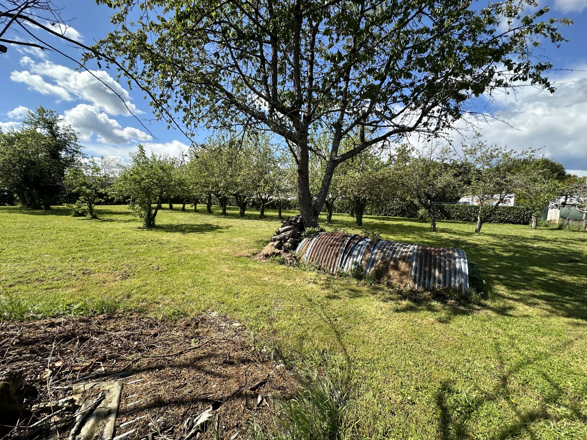 Vente Maison à Bellerive-sur-Allier 6 pièces