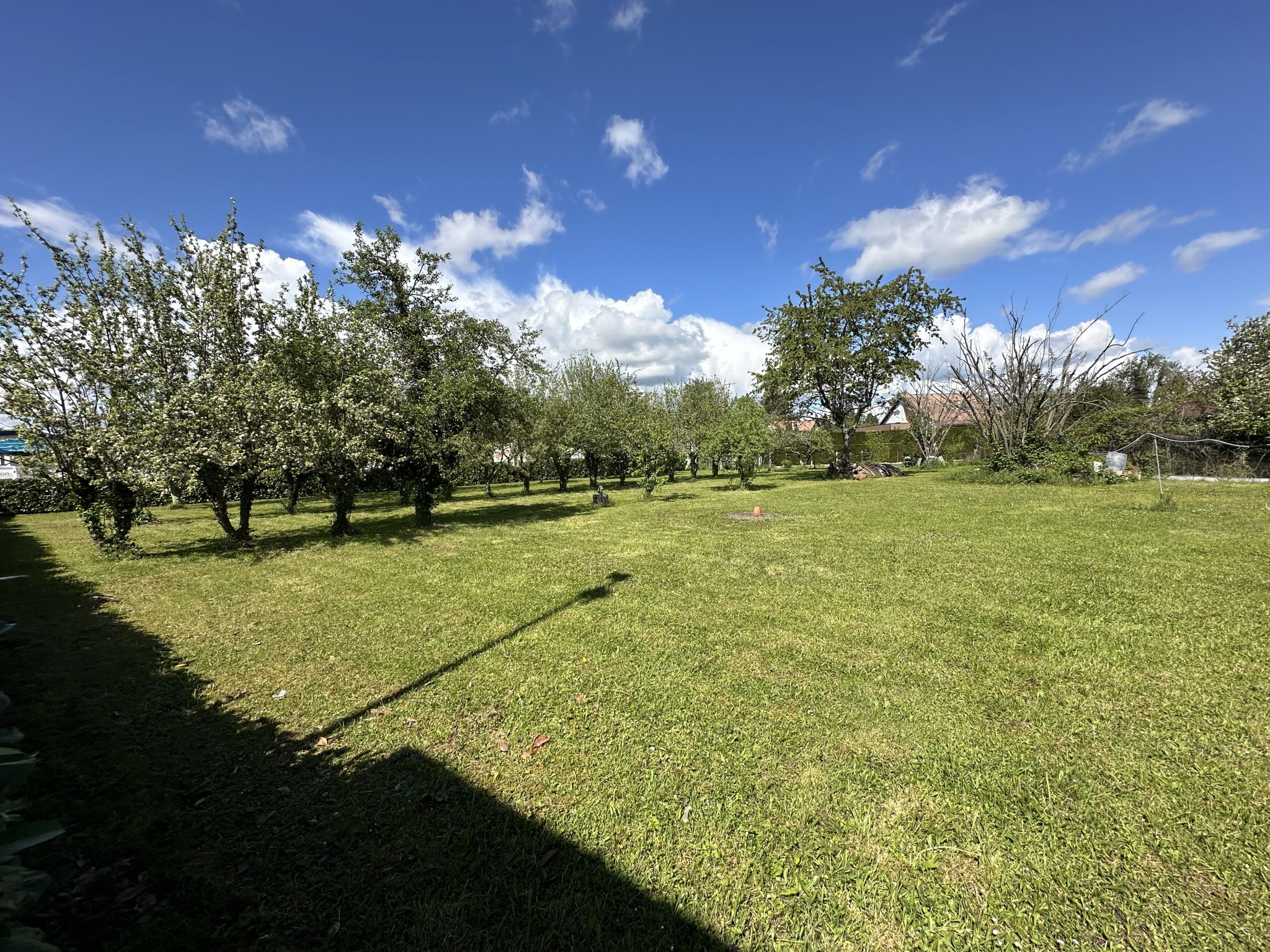 Vente Maison à Bellerive-sur-Allier 6 pièces