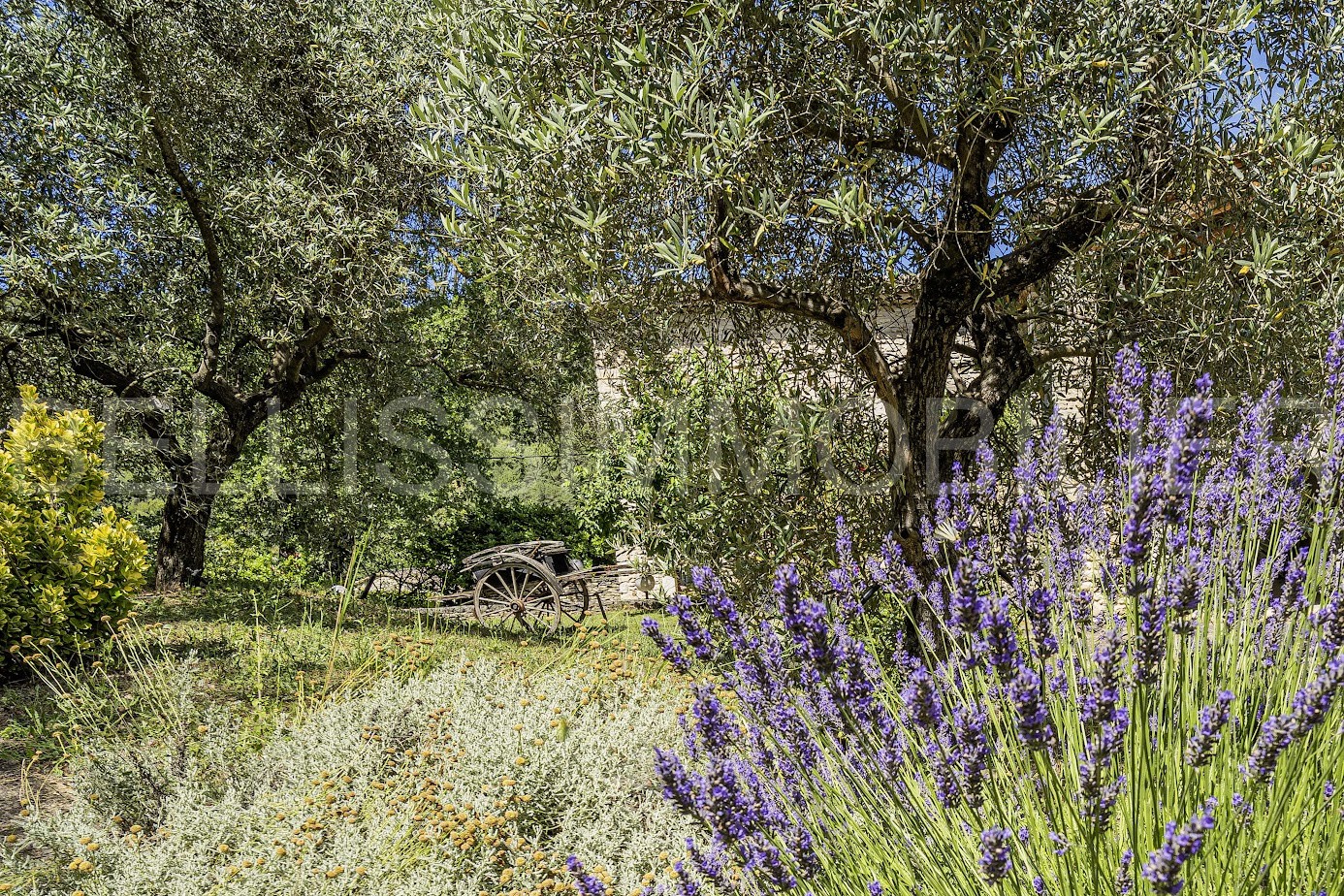 Vente Maison à Roussillon 5 pièces