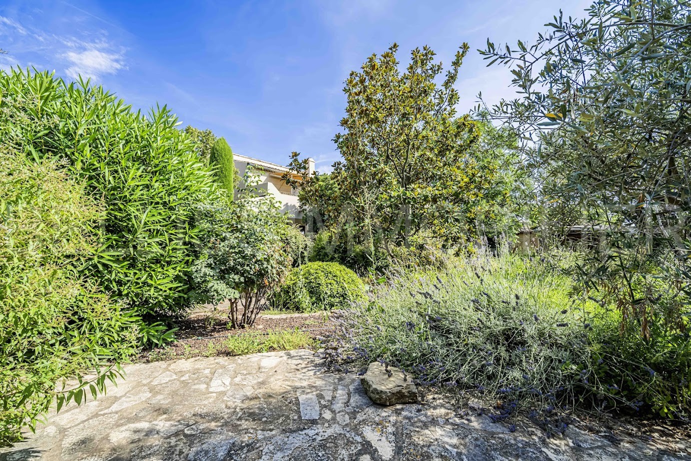 Vente Maison à Saint-Rémy-de-Provence 8 pièces