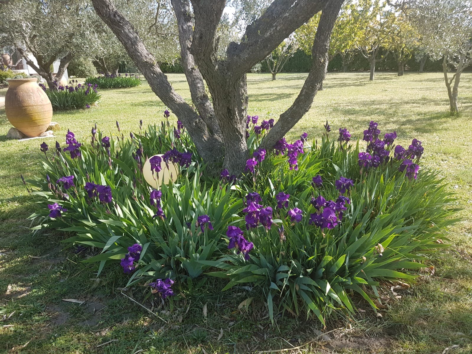 Vente Maison à Avignon 6 pièces