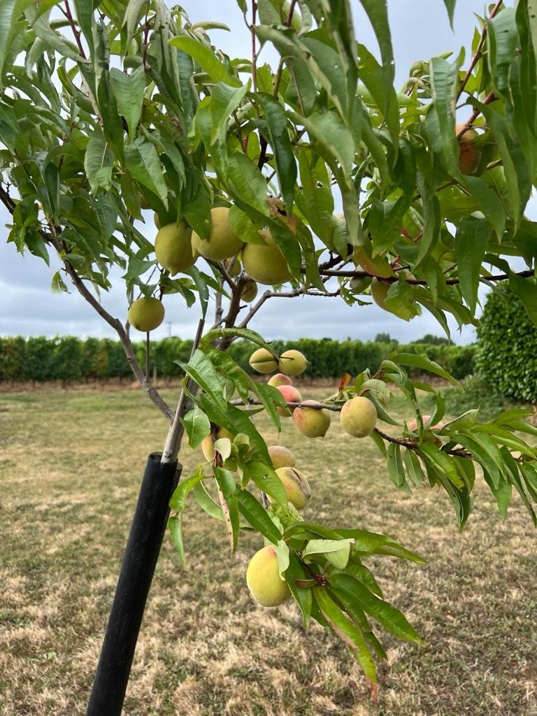 Vente Maison à Bergerac 8 pièces