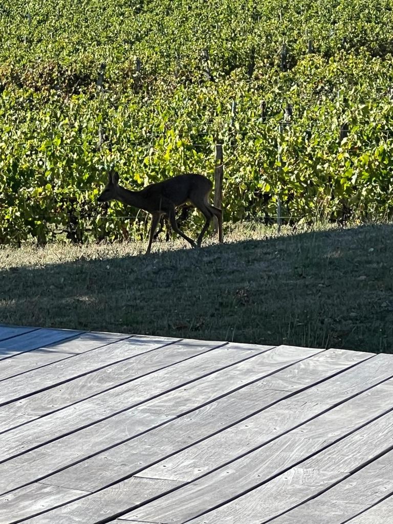 Vente Maison à Bergerac 8 pièces