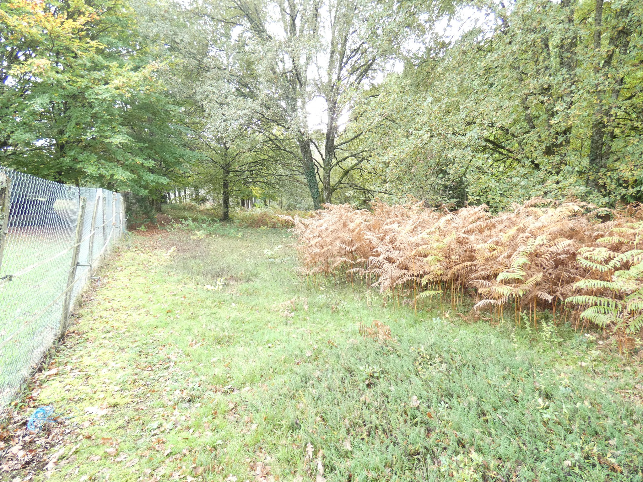 Vente Terrain à Panazol 0 pièce