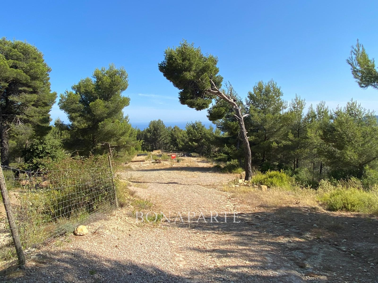 Vente Terrain à Menton 0 pièce