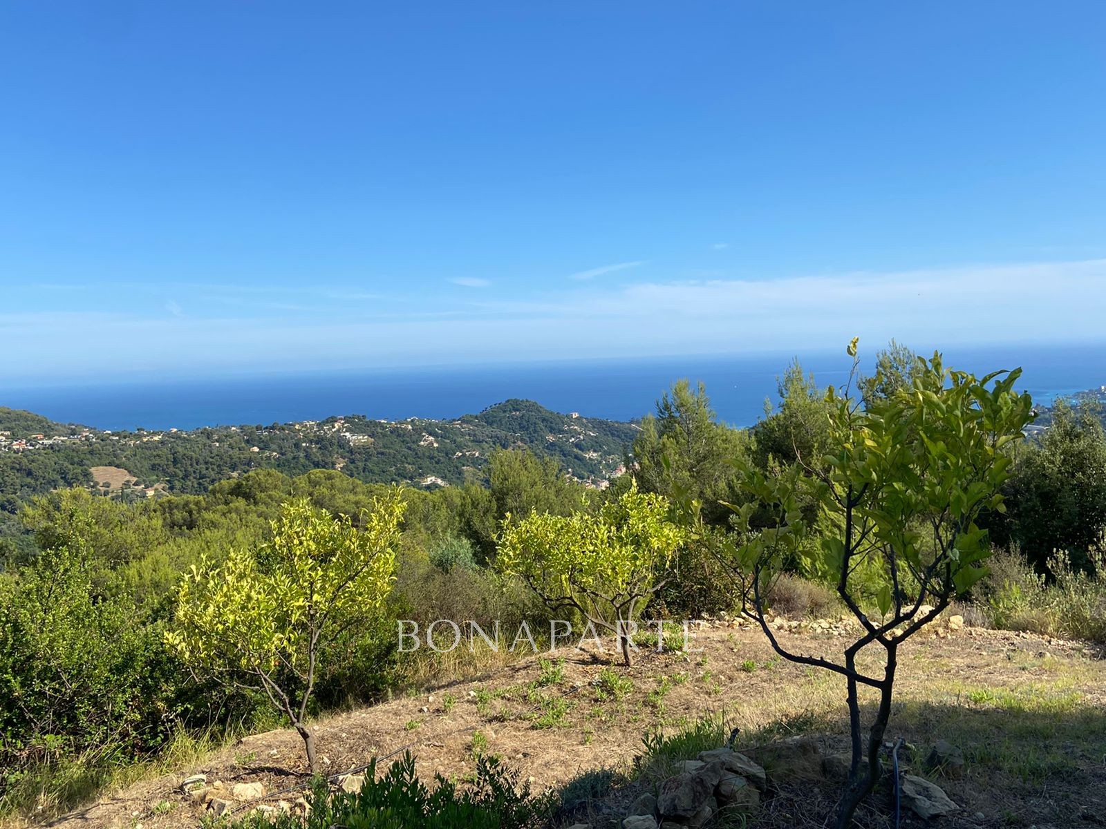 Vente Terrain à Menton 0 pièce