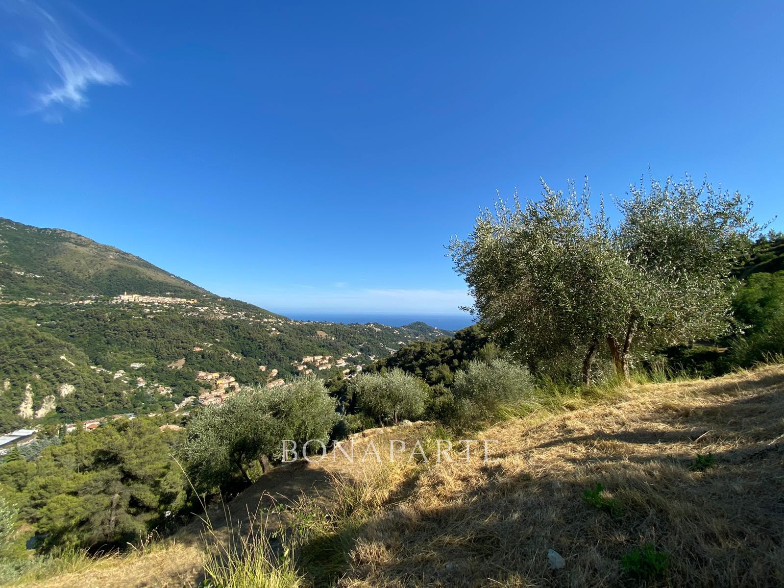 Vente Terrain à Menton 0 pièce