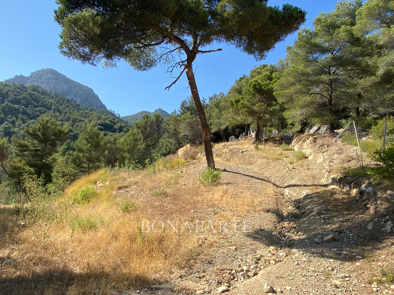 Vente Terrain à Menton 0 pièce