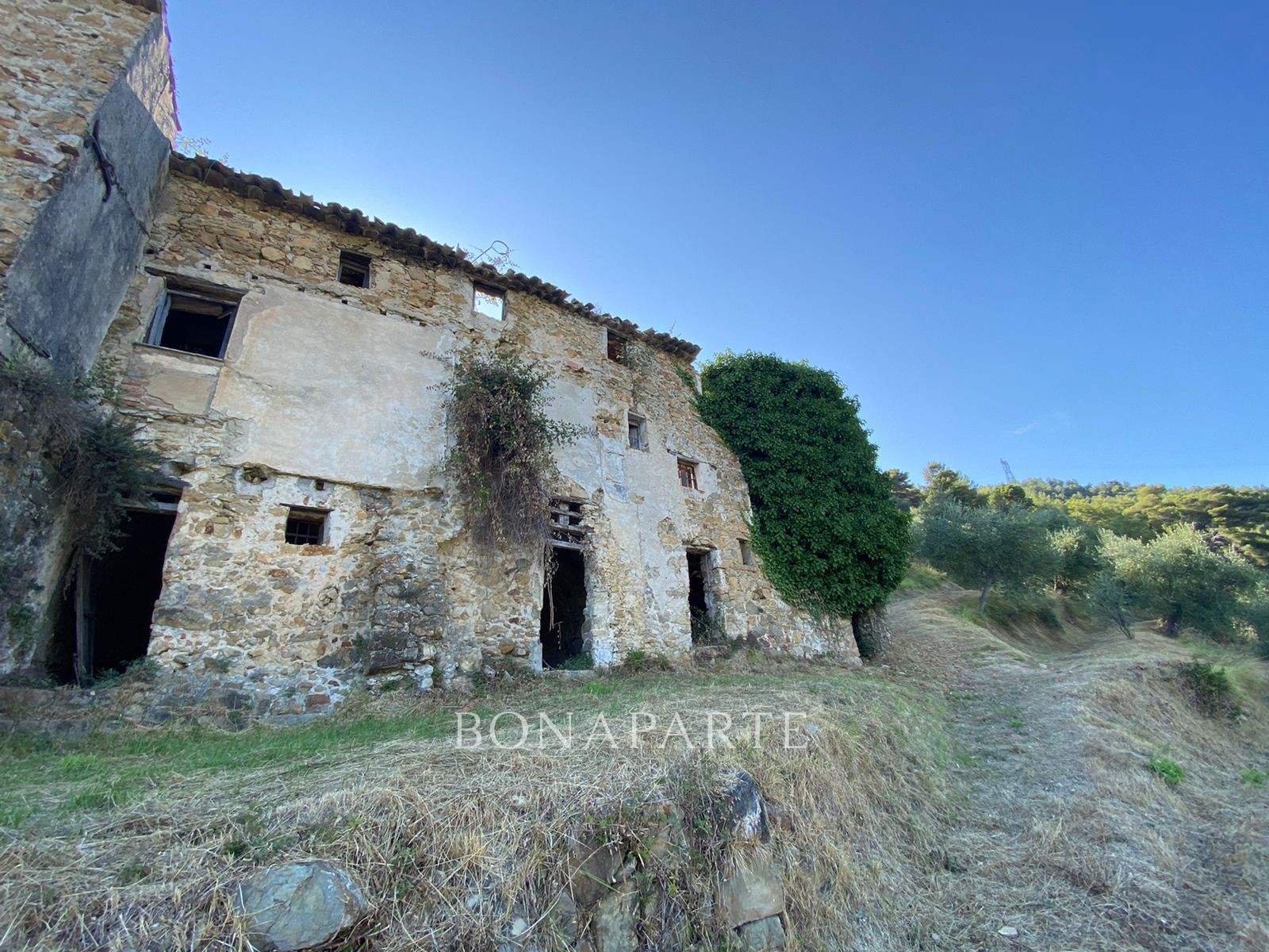 Vente Terrain à Menton 0 pièce