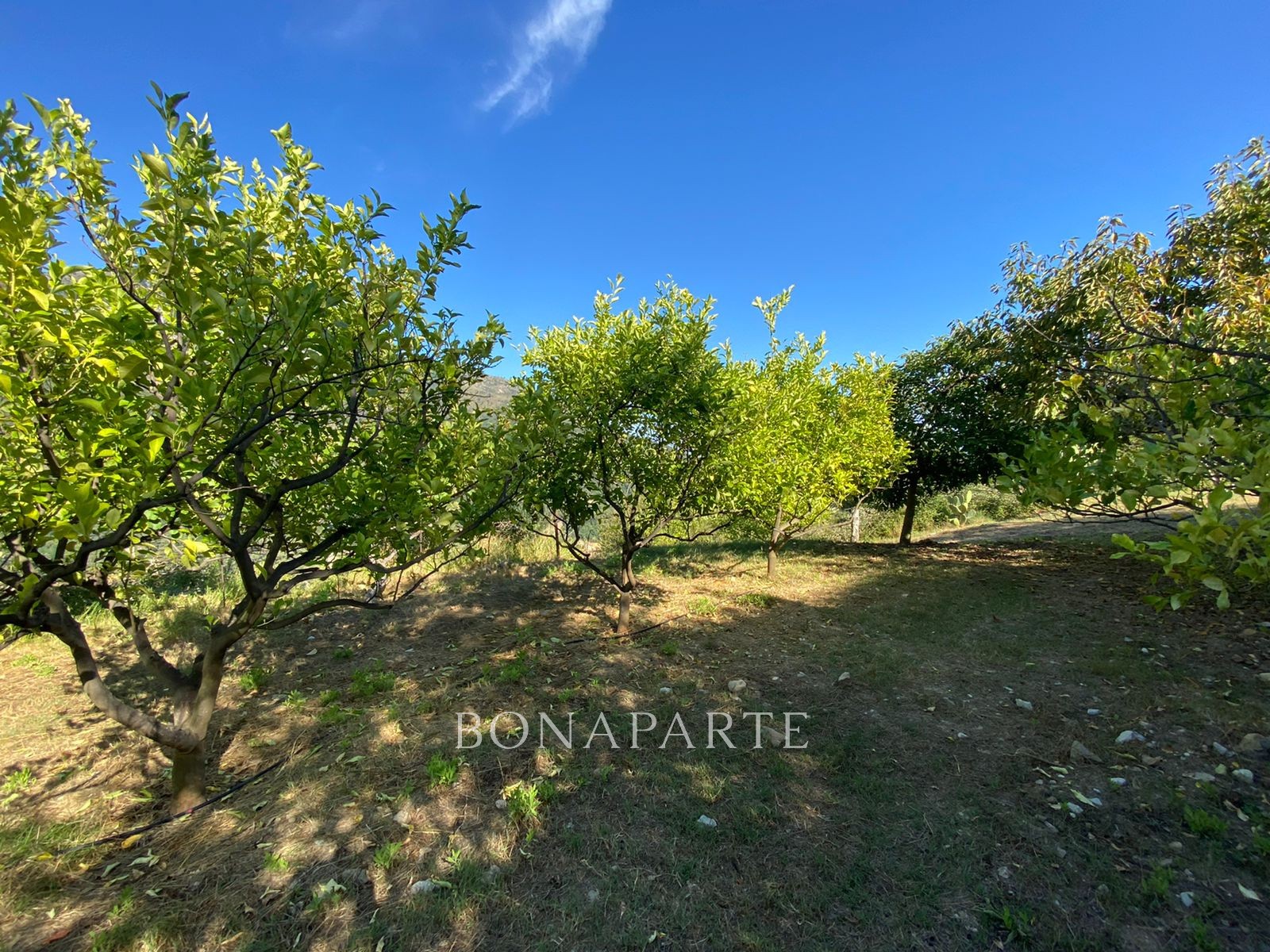 Vente Terrain à Menton 0 pièce