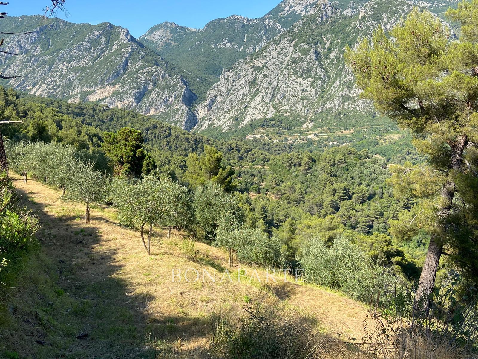 Vente Terrain à Menton 0 pièce