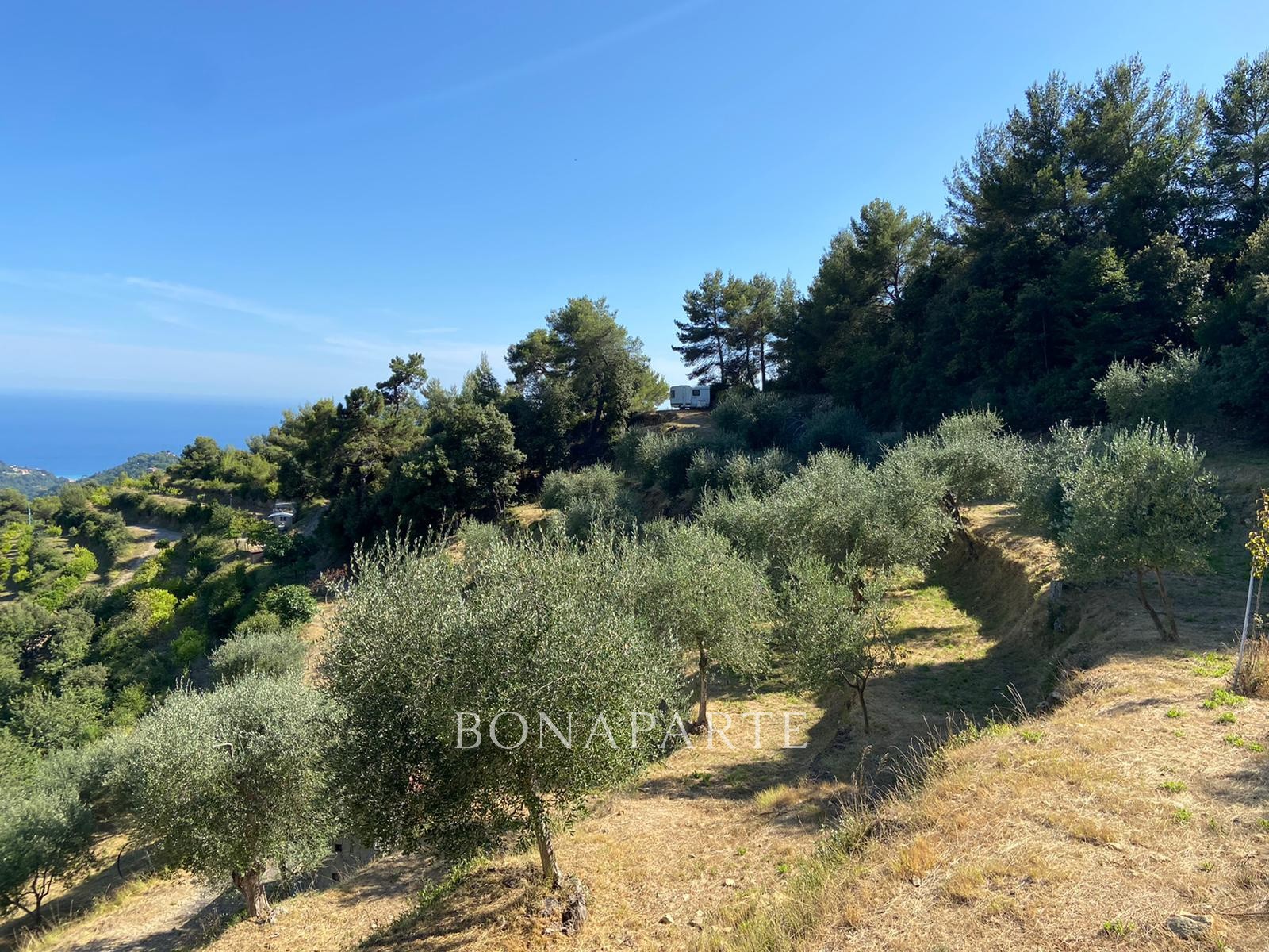 Vente Terrain à Menton 0 pièce