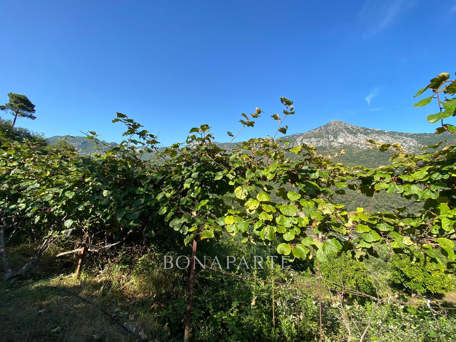 Vente Terrain à Menton 0 pièce