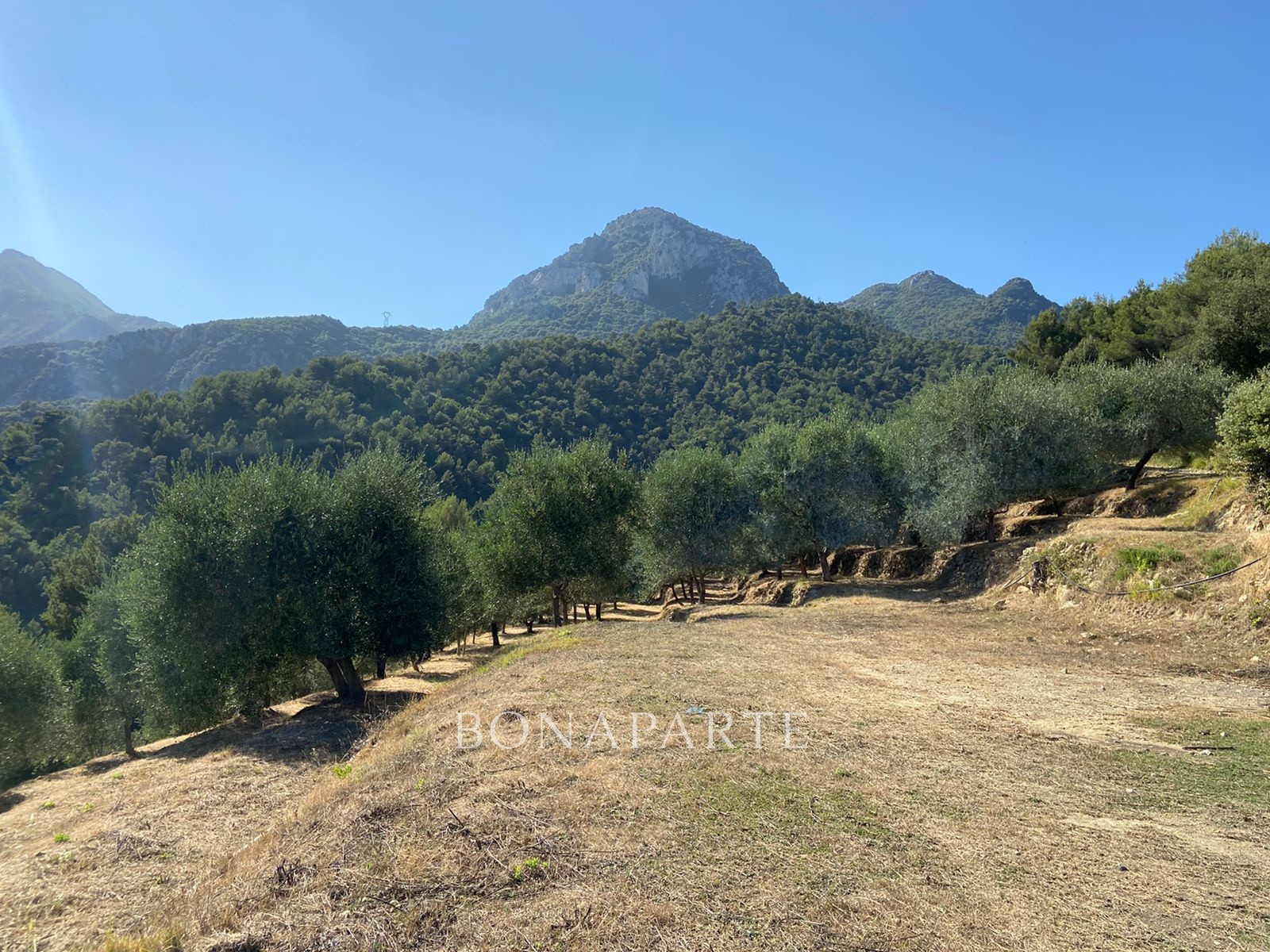 Vente Terrain à Menton 0 pièce