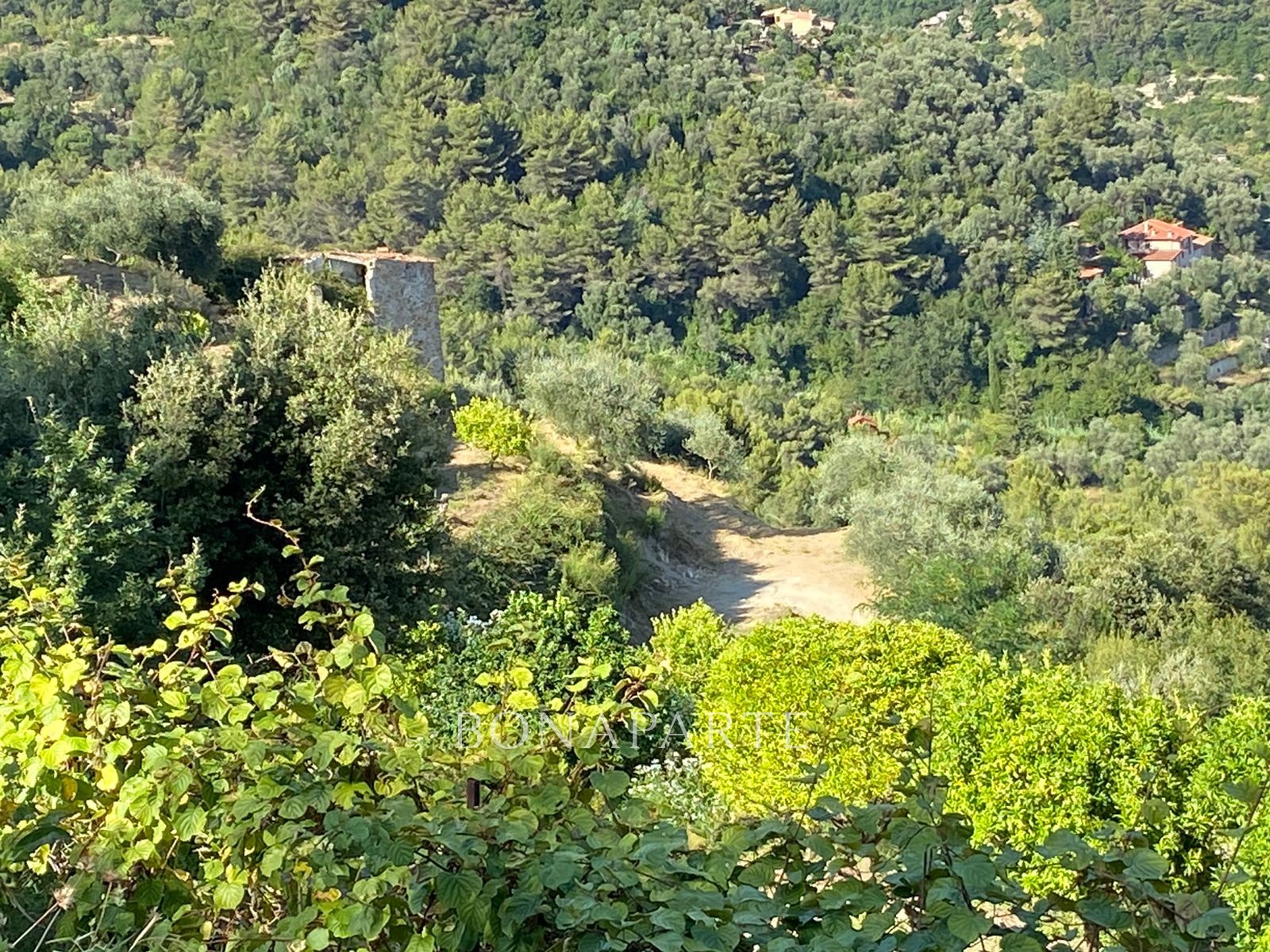 Vente Terrain à Menton 0 pièce