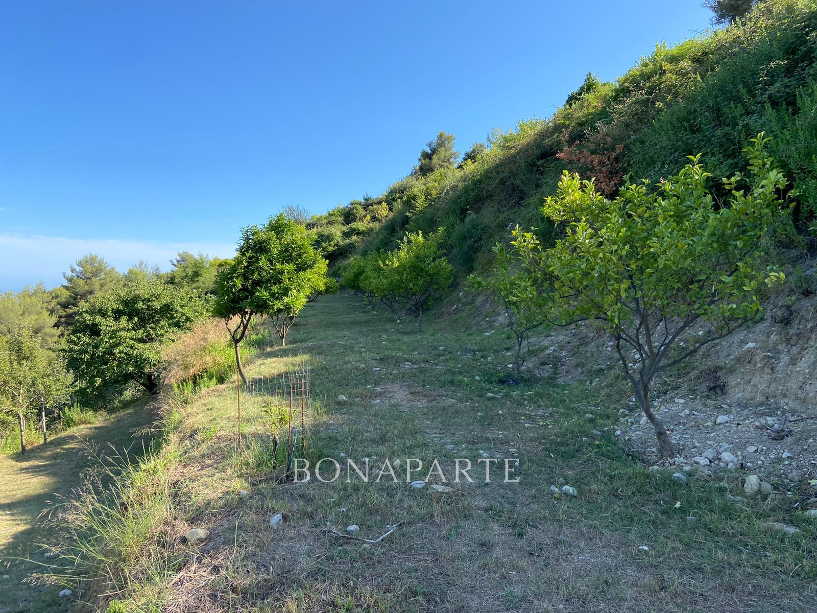 Vente Terrain à Menton 0 pièce