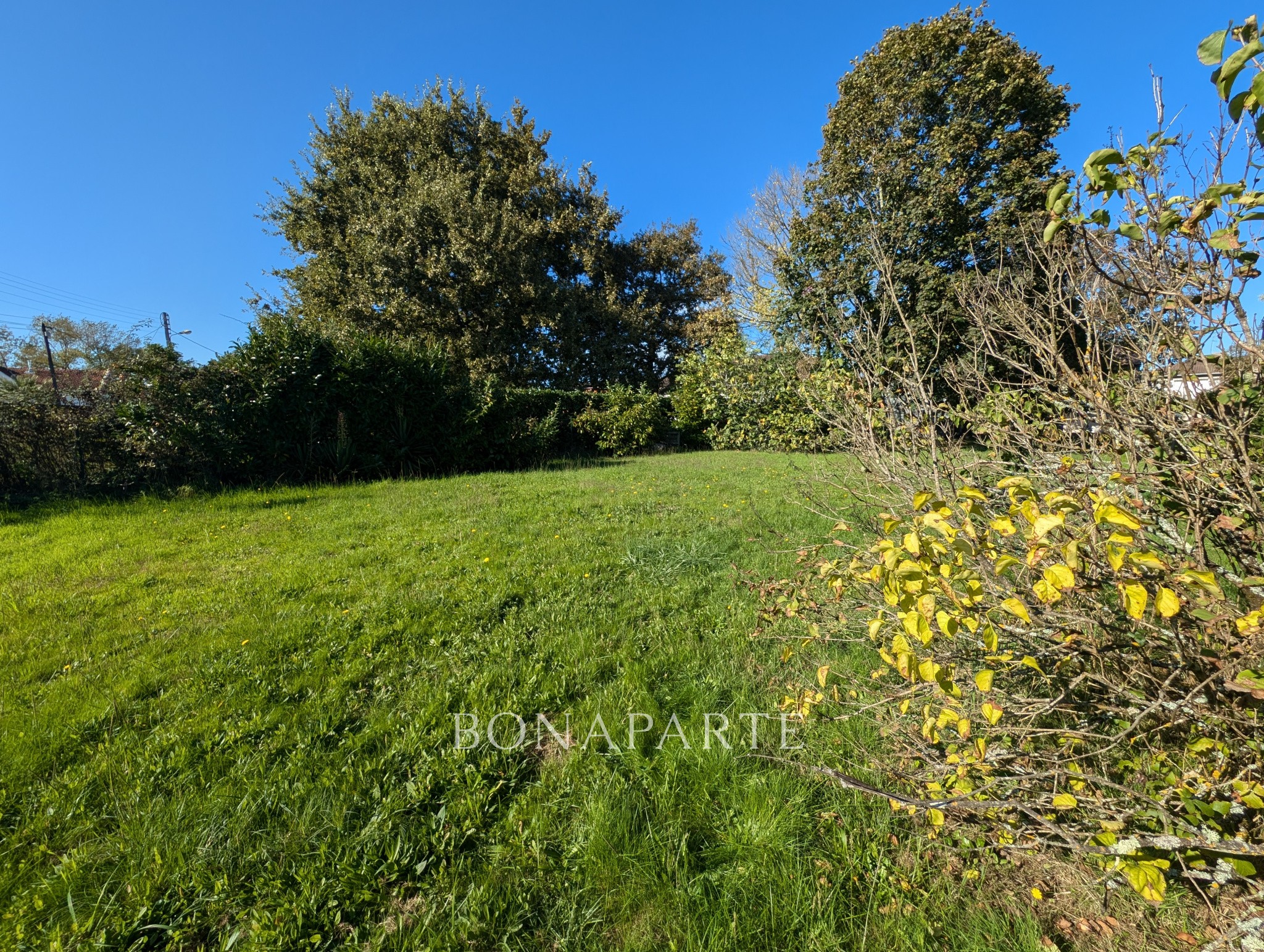 Vente Terrain à Saint-Médard-en-Jalles 0 pièce