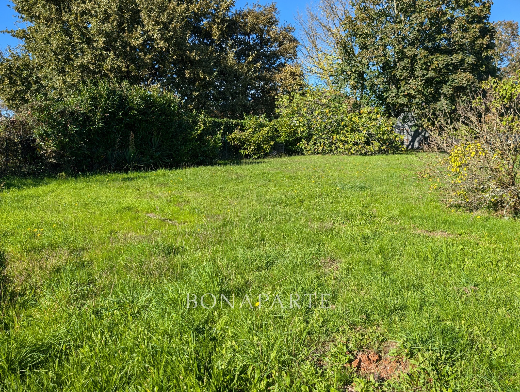 Vente Terrain à Saint-Médard-en-Jalles 0 pièce