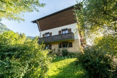 Vente Maison à Praz-sur-Arly 12 pièces