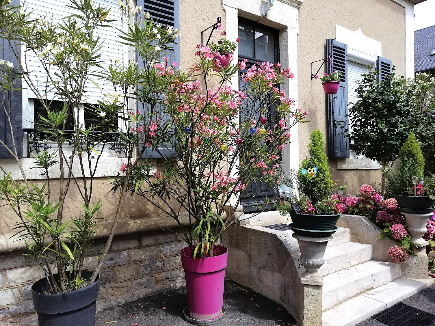 Vente Maison à Nevers 6 pièces