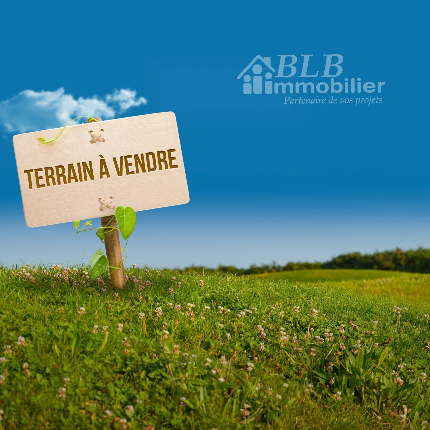 Vente Terrain à Rambouillet 0 pièce