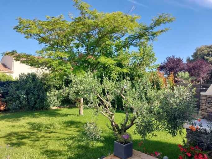 Vente Maison à Oraison 5 pièces