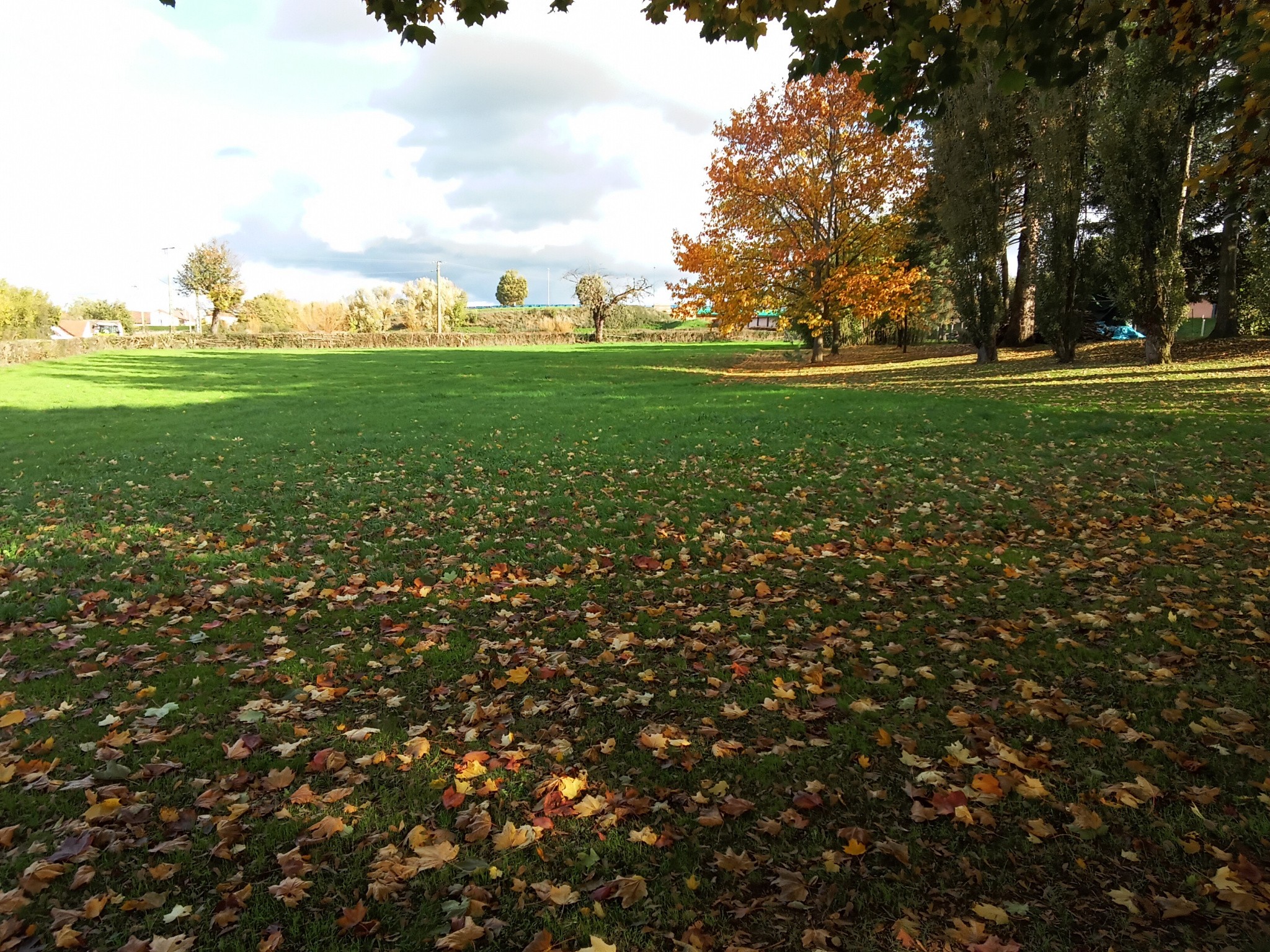 Vente Terrain à Paray-le-Monial 0 pièce