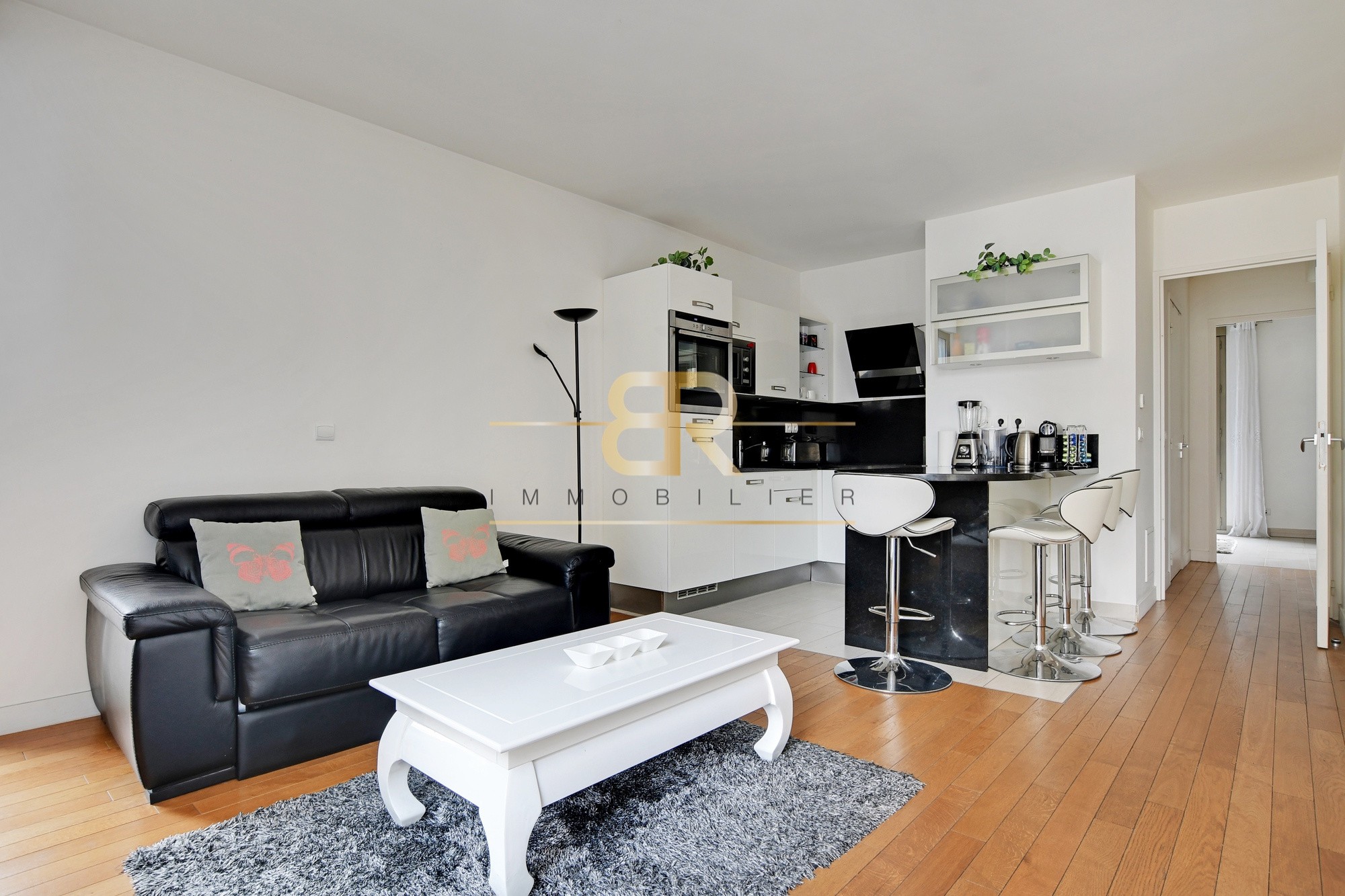 Vente Appartement à Paris Vaugirard 15e arrondissement 3 pièces