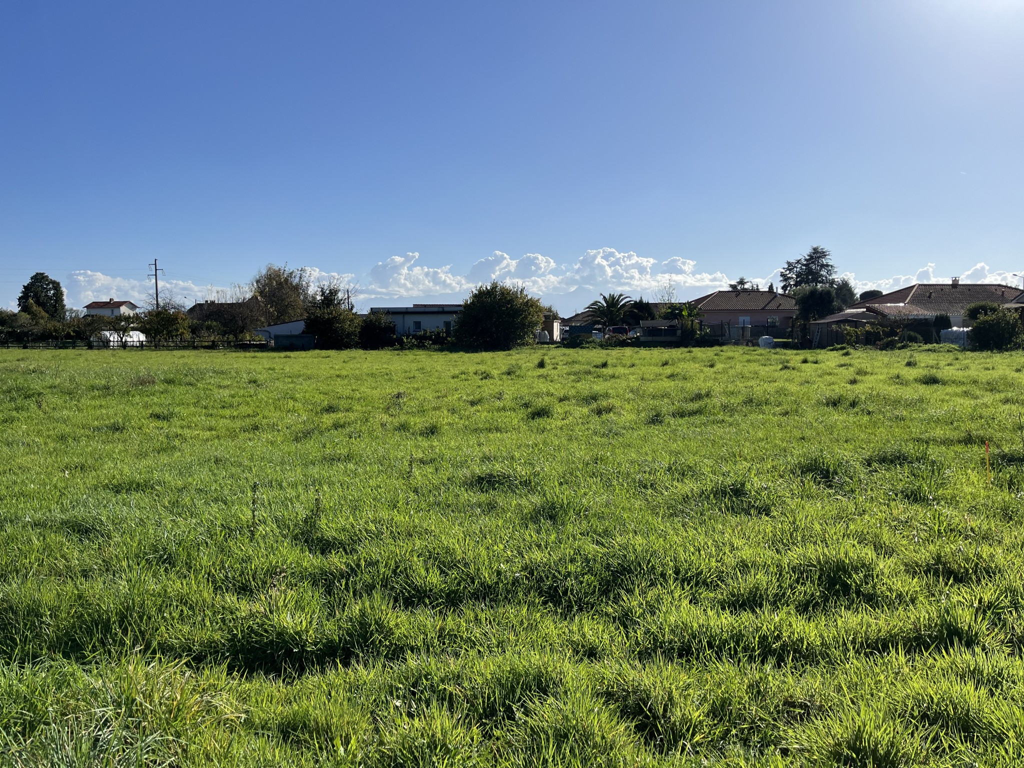 Vente Terrain à Bordères-sur-l'Échez 0 pièce