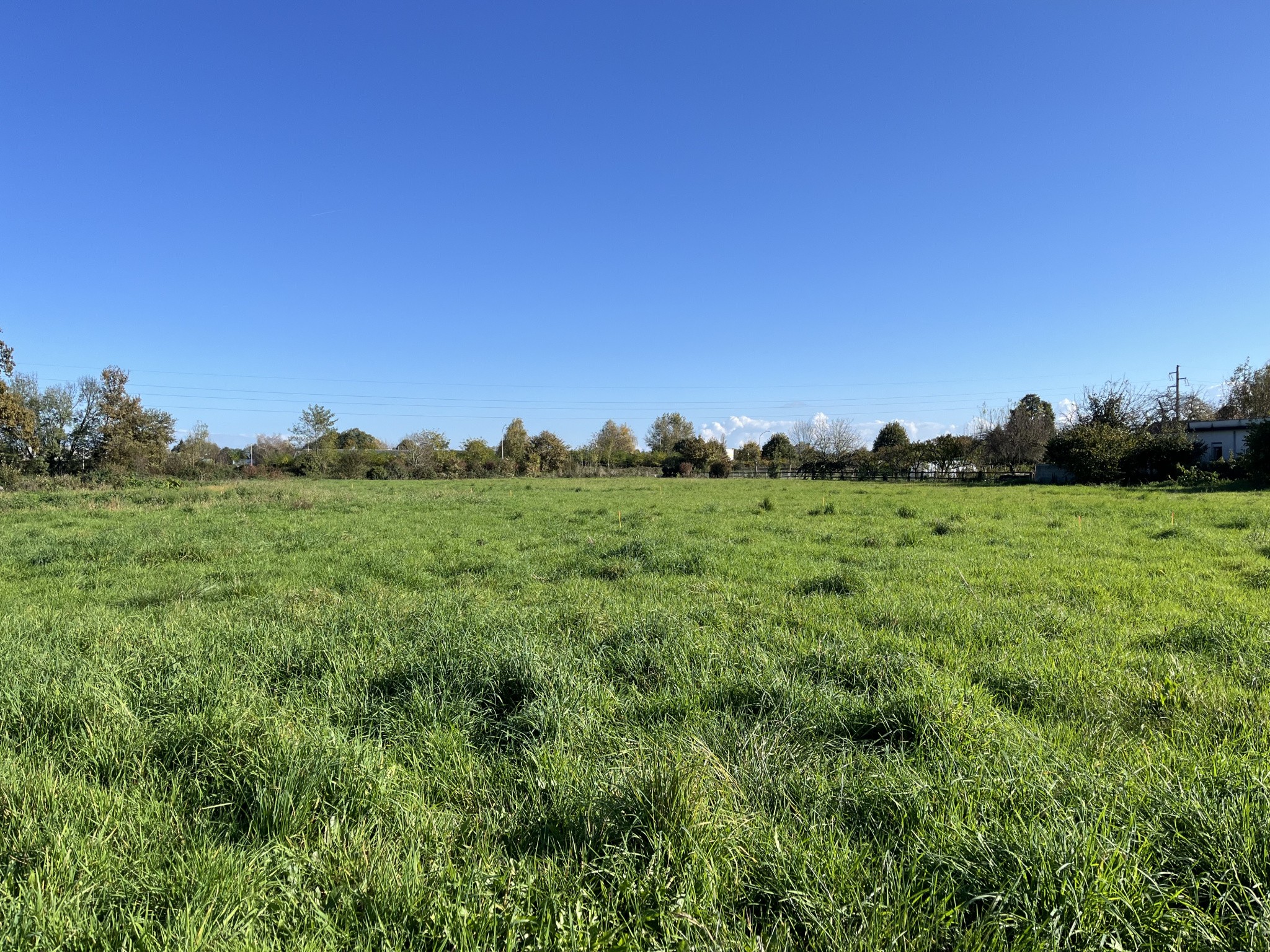 Vente Terrain à Bordères-sur-l'Échez 0 pièce