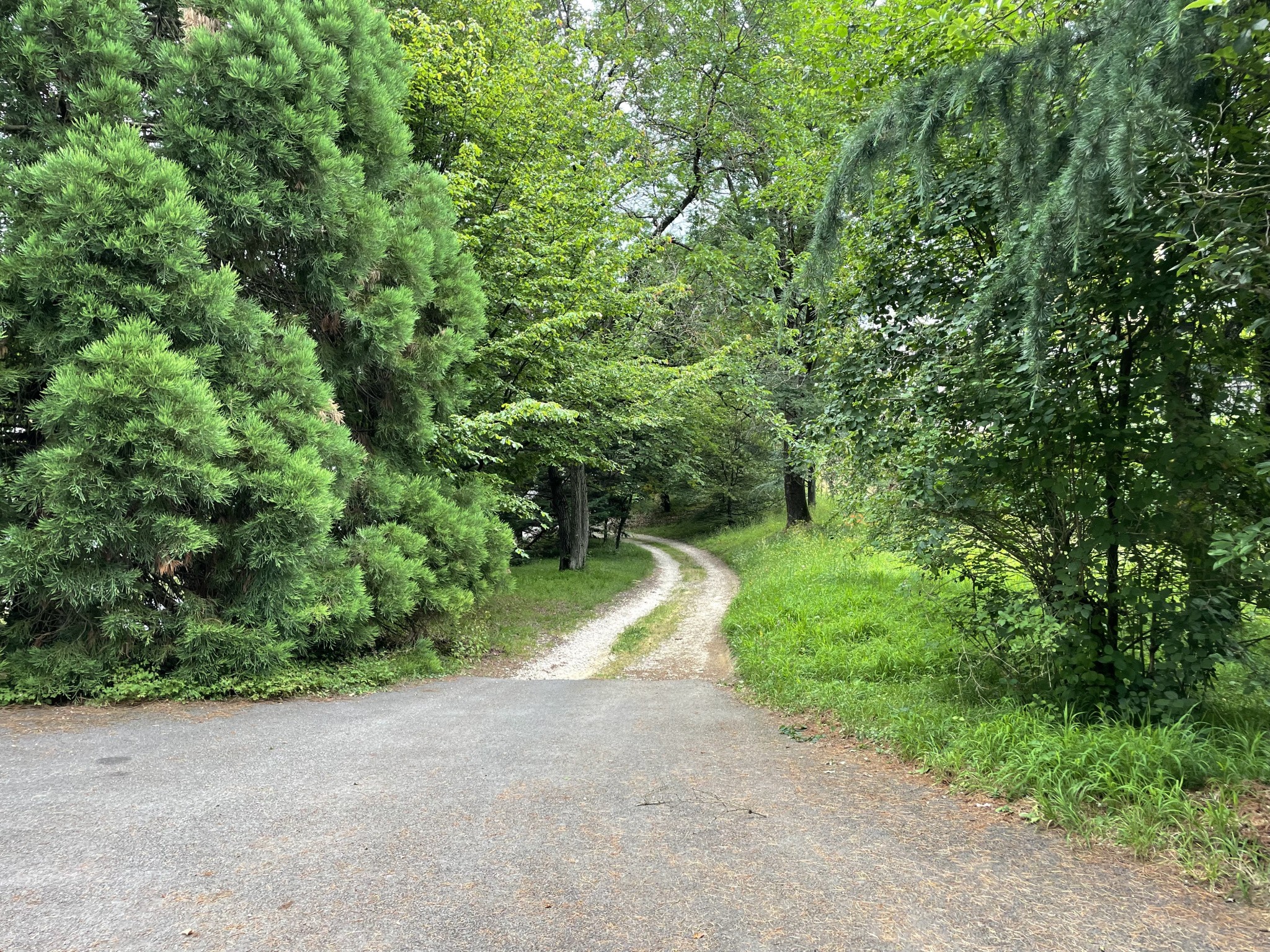 Vente Terrain à Aix-les-Bains 0 pièce