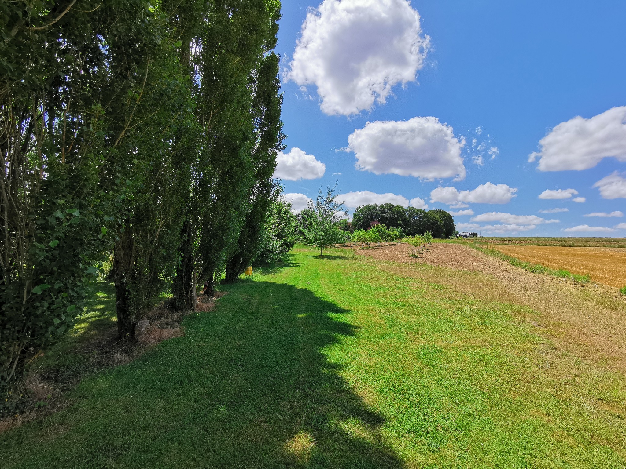 Vente Maison à Sens 6 pièces