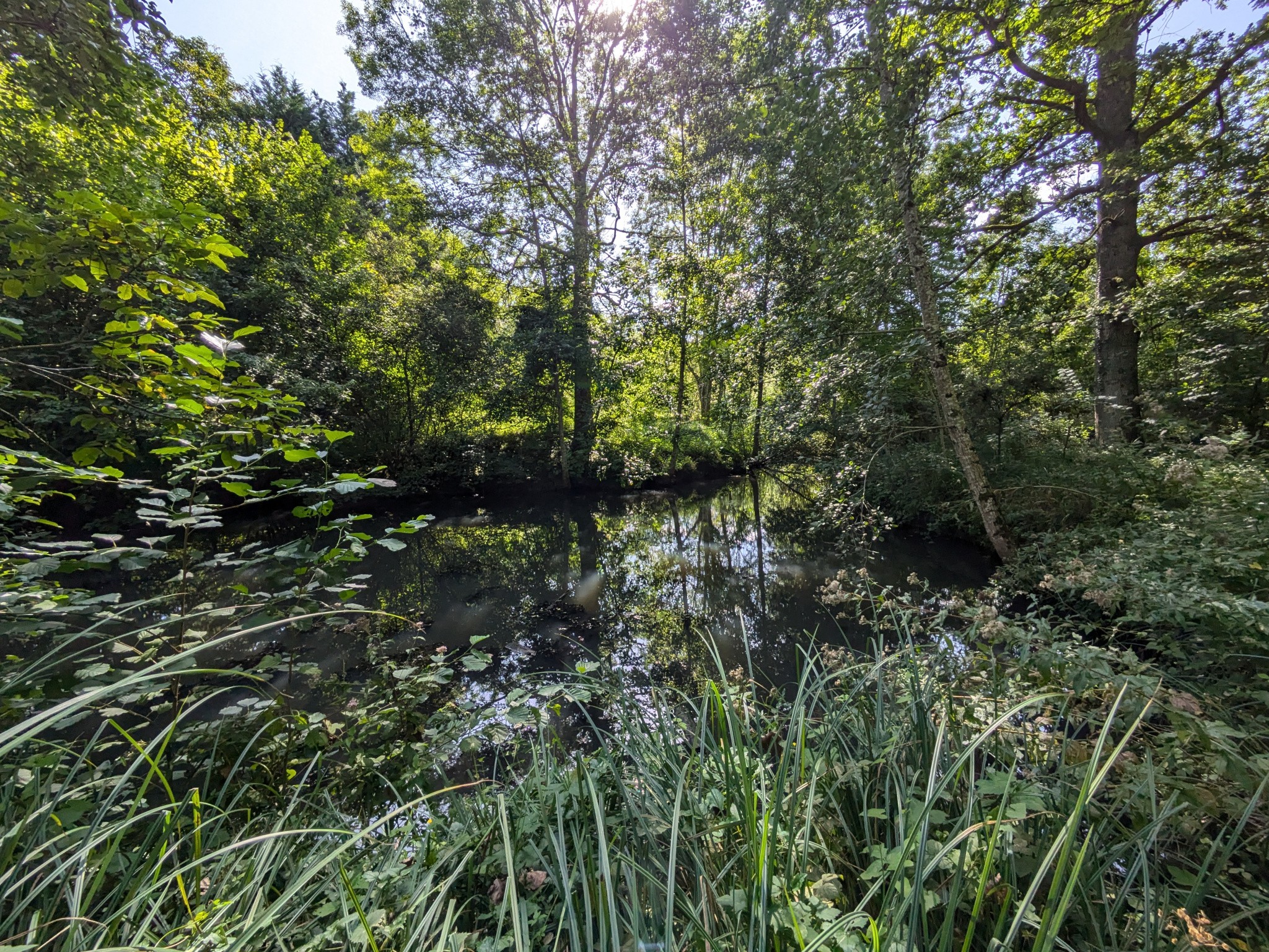 Vente Terrain à Ferrières-en-Gâtinais 0 pièce