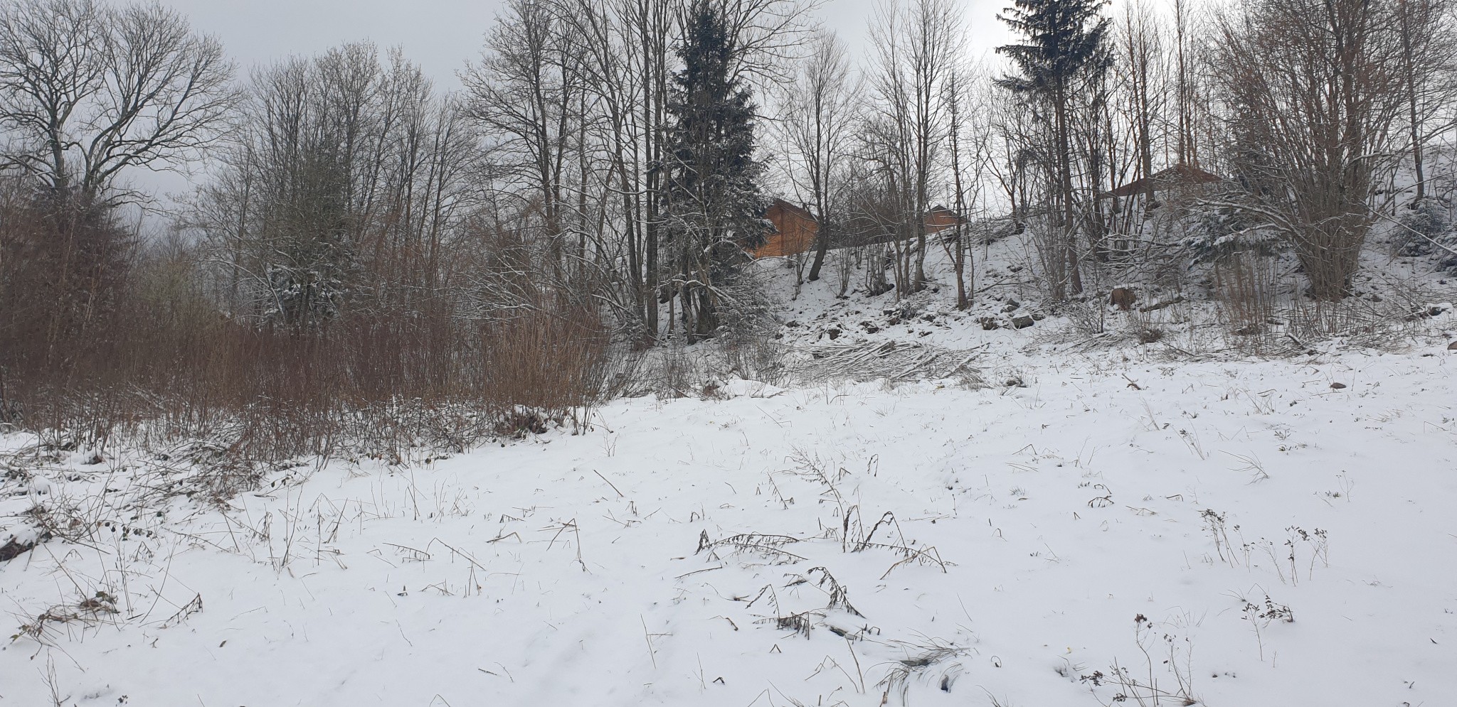 Vente Terrain à Xonrupt-Longemer 0 pièce