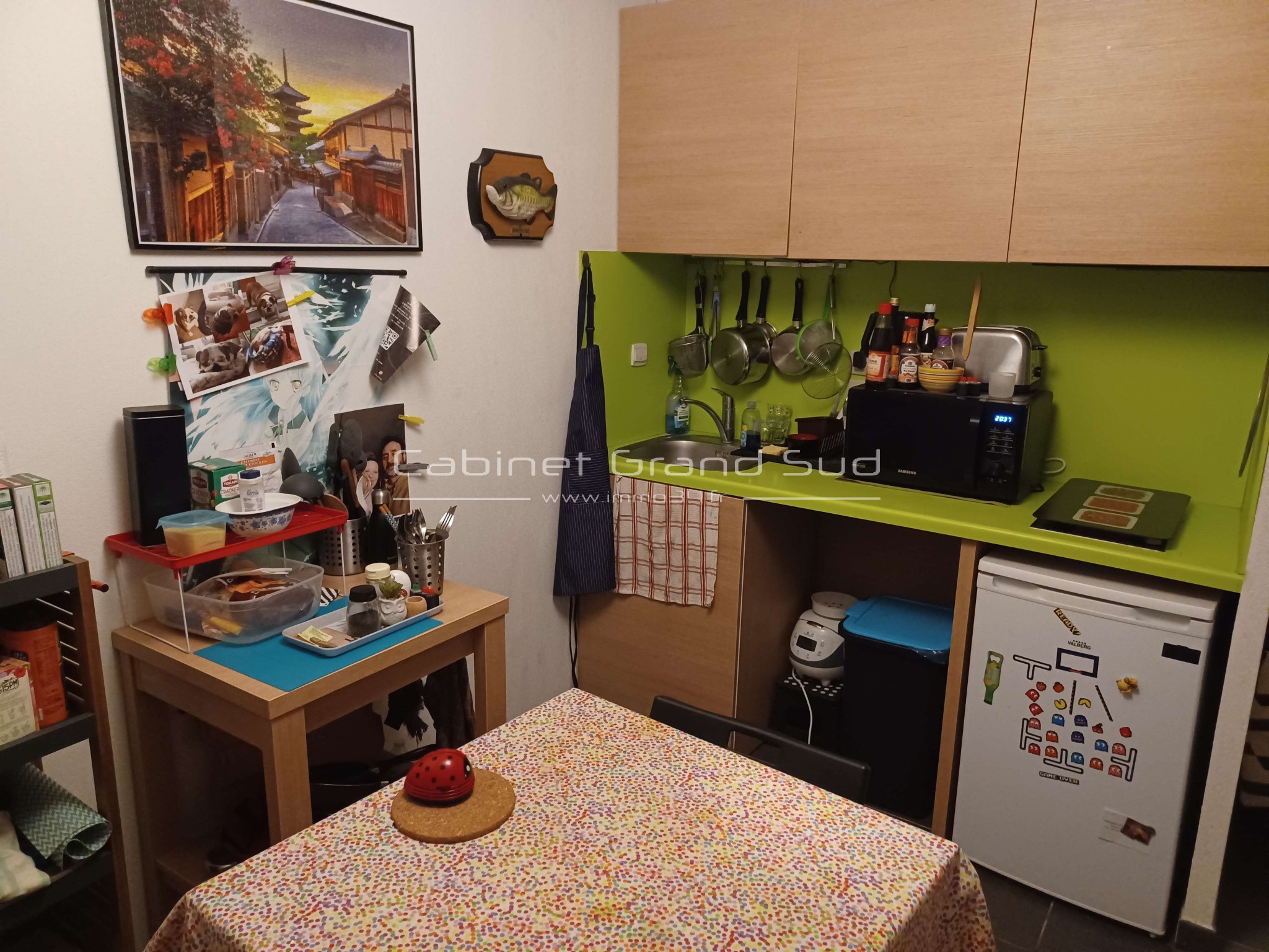 Location Appartement à Castelnau-le-Lez 1 pièce