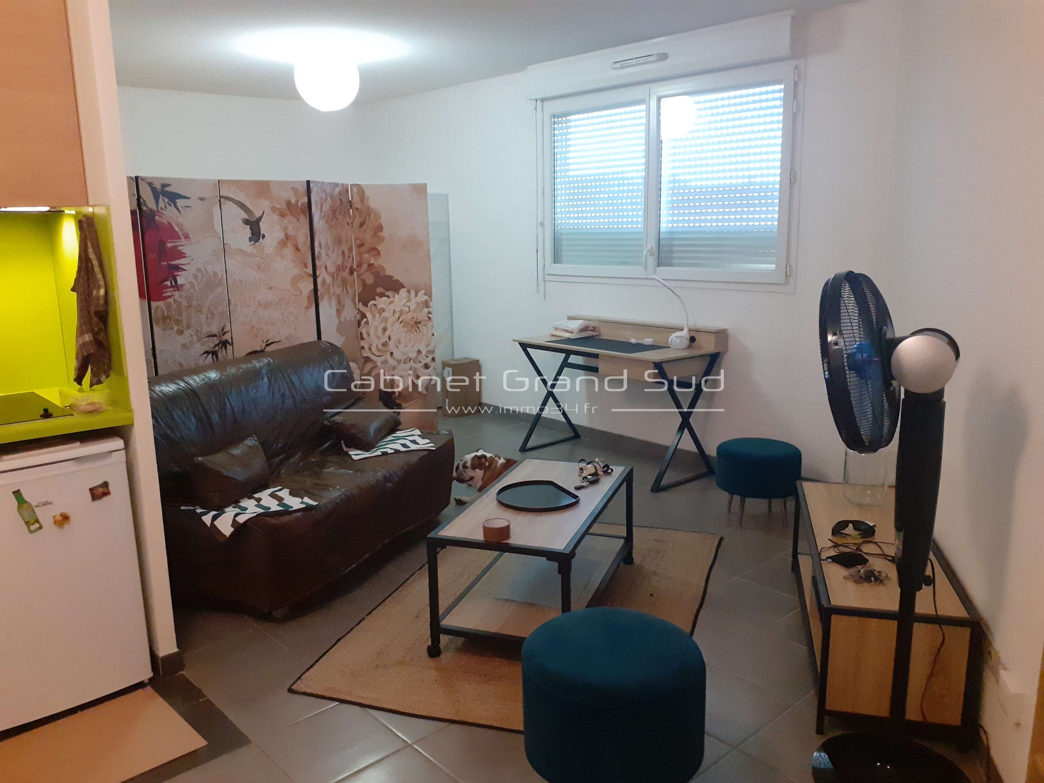 Vente Appartement à Castelnau-le-Lez 1 pièce