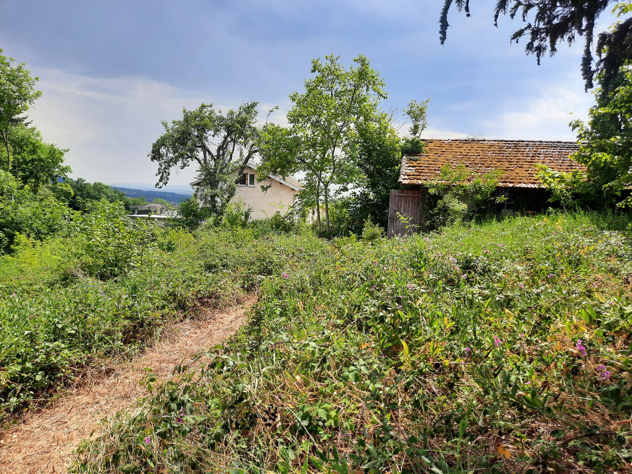 Vente Terrain à Thiers 0 pièce