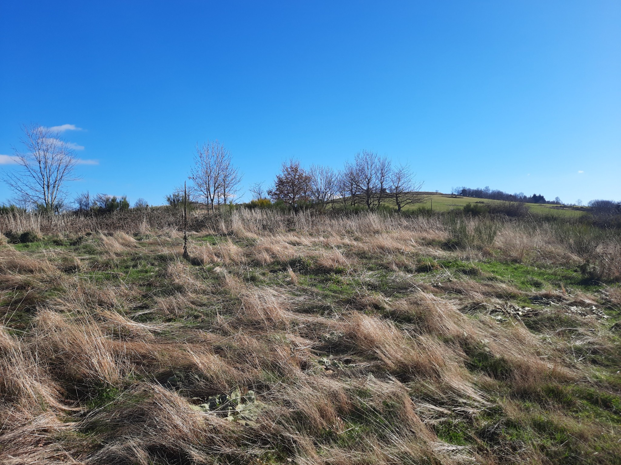 Vente Terrain à Thiers 0 pièce