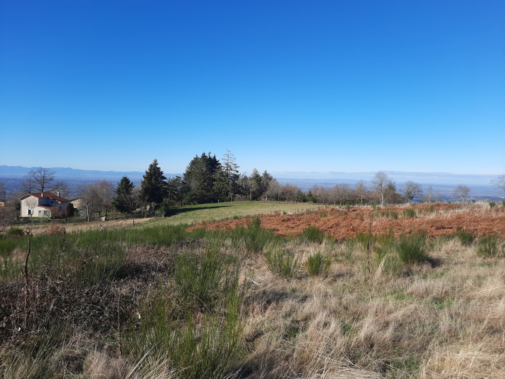 Vente Terrain à Thiers 0 pièce